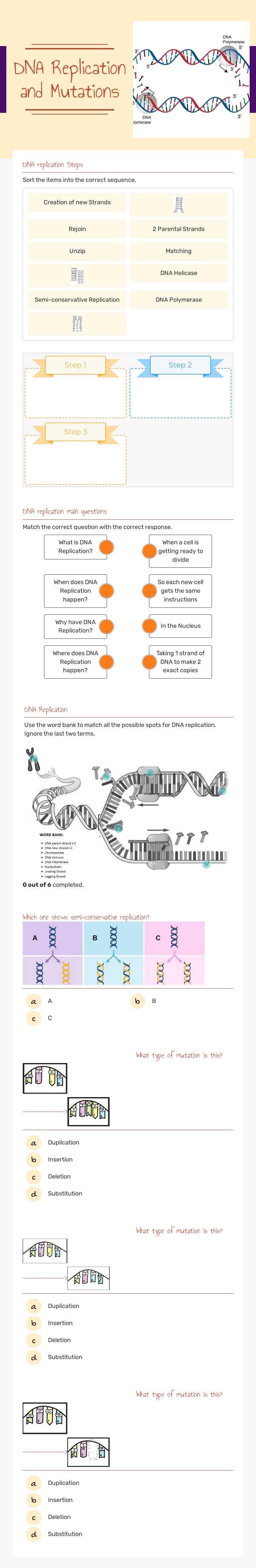 DNA Replication
and Mutations worksheet preview image