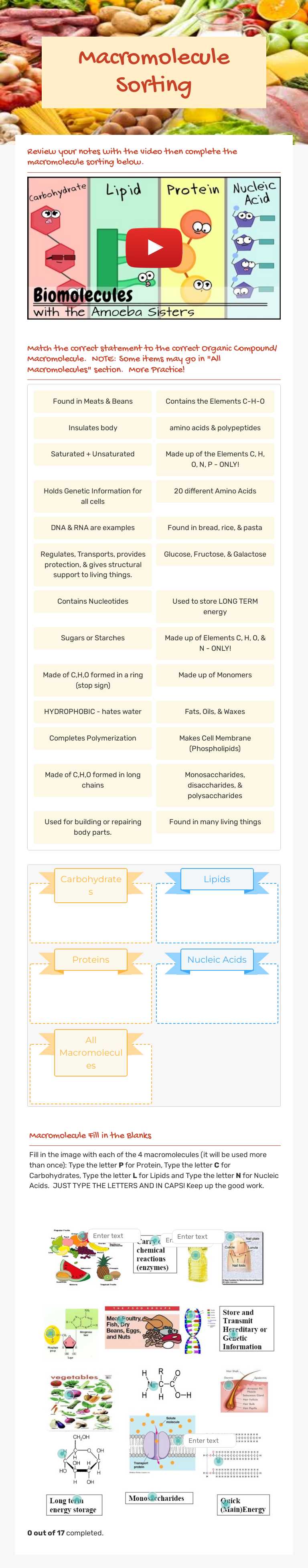 Macromolecule Sorting Grade 9 worksheet preview