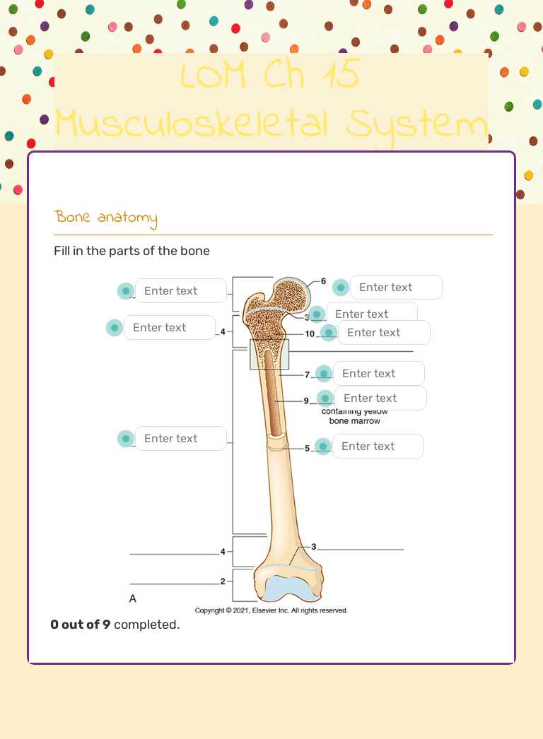 LOM Ch 15 Musculoskeletal System worksheet preview