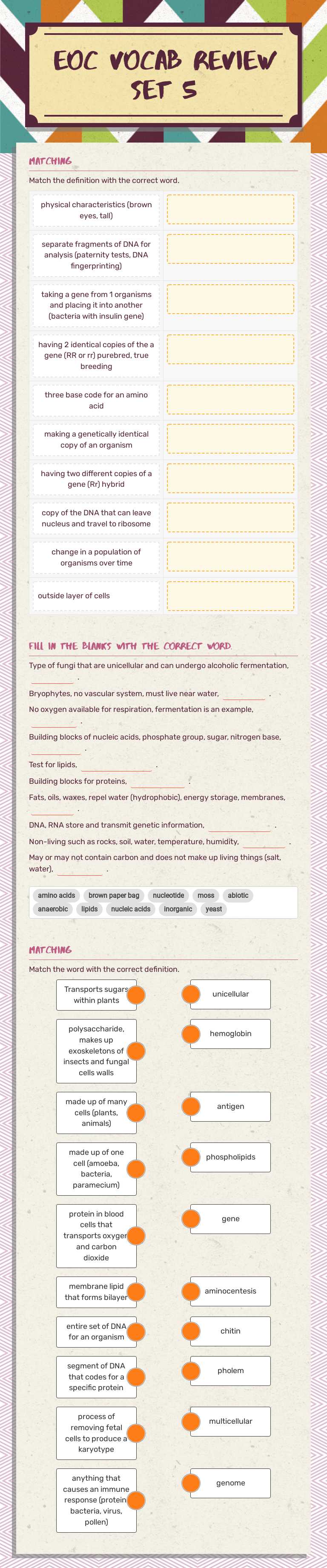 EOC vocab Review  Set 5 worksheet preview image