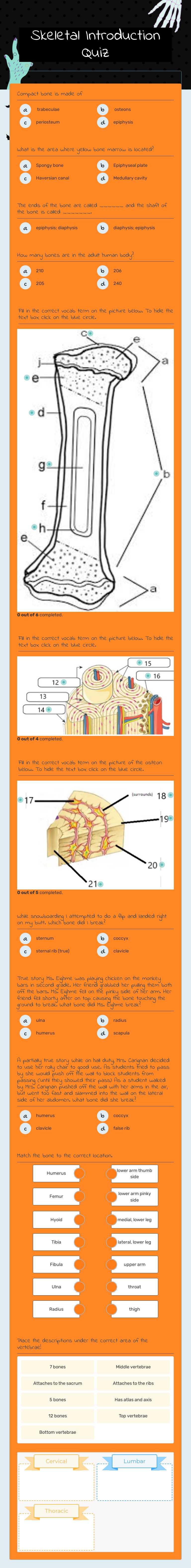 Skeletal Introduction Quiz worksheet preview image