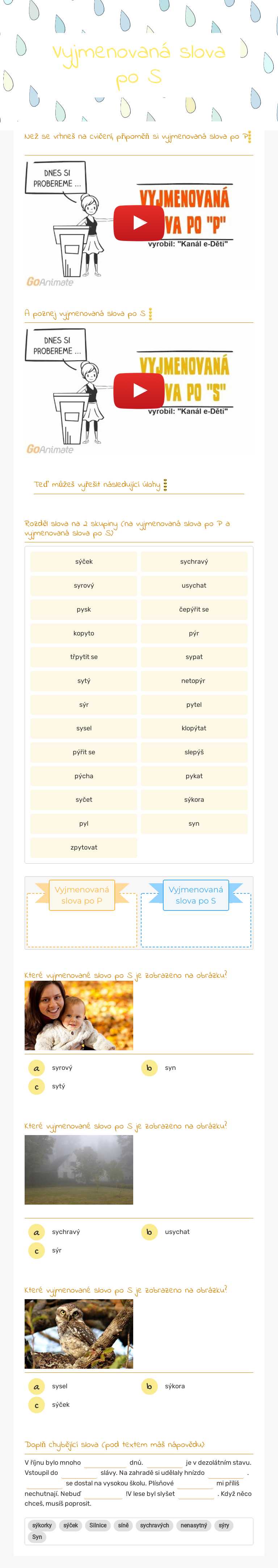 Vyjmenovaná slova po S Grade 3 worksheet preview