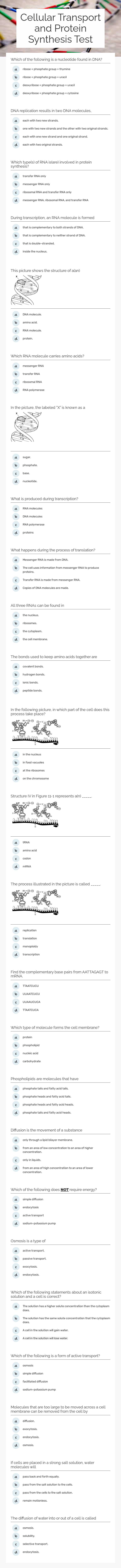 Cellular Transport and Protein Synthesis Test worksheet preview