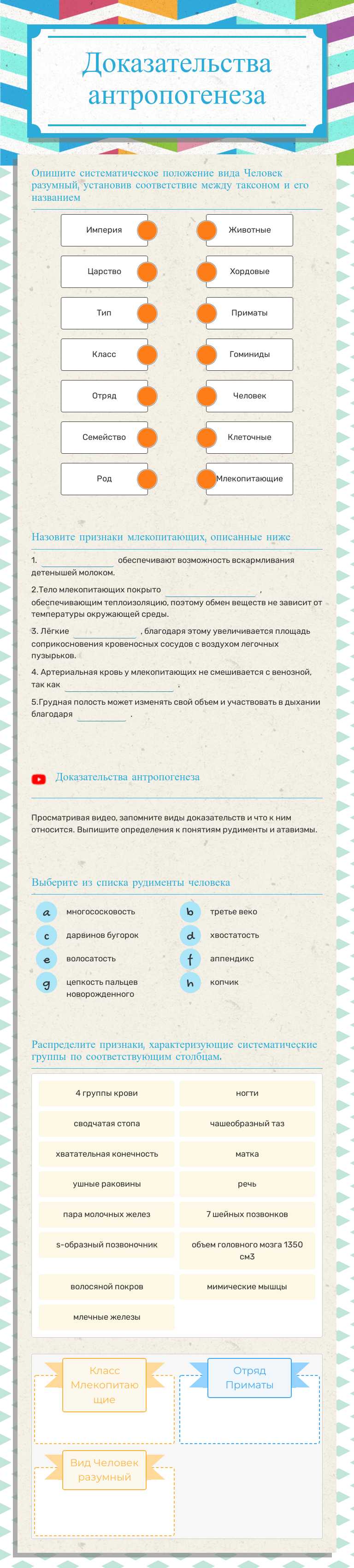 Доказательства антропогенеза worksheet preview image