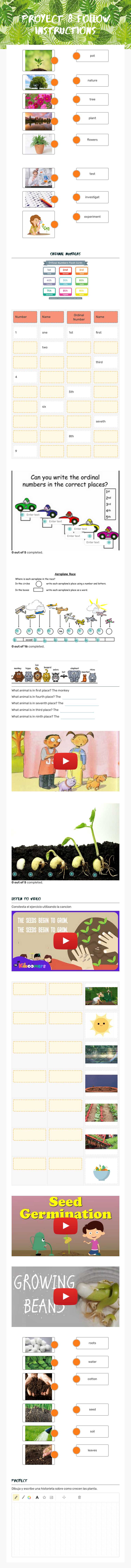 Proyect 8 
Follow instructions worksheet preview image