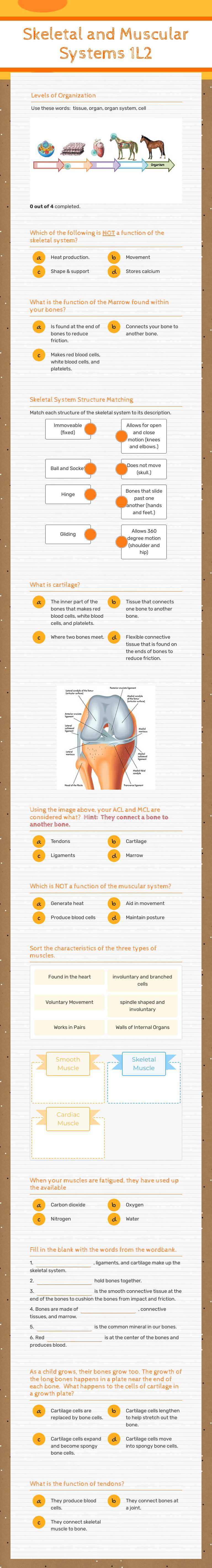Skeletal and Muscular Systems 1L2 worksheet preview image