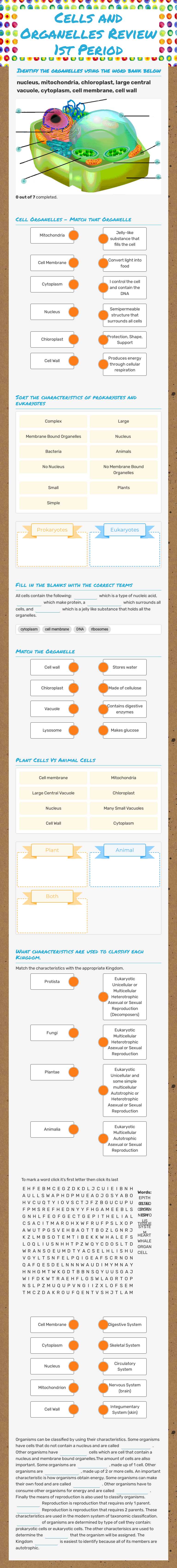 Cells and Organelles Review 1st Period worksheet preview image