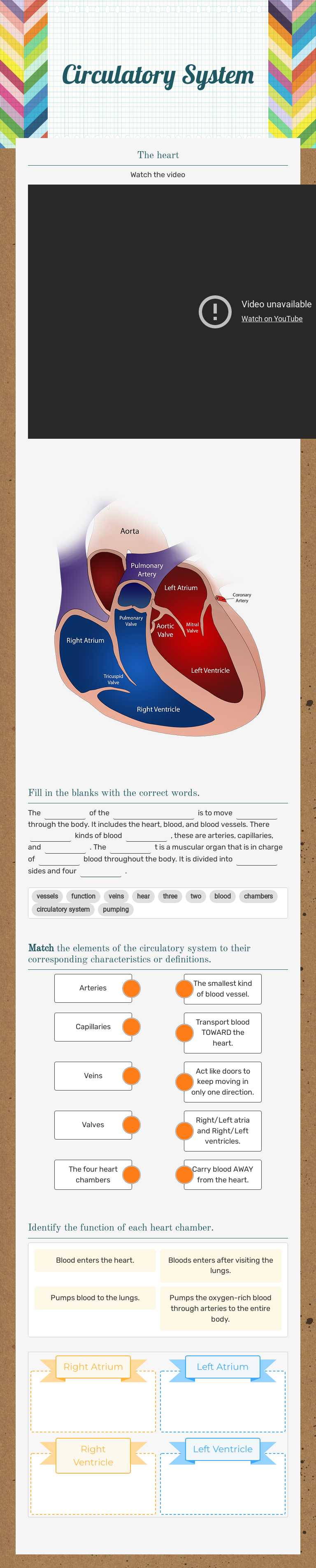 Circulatory System worksheet preview image