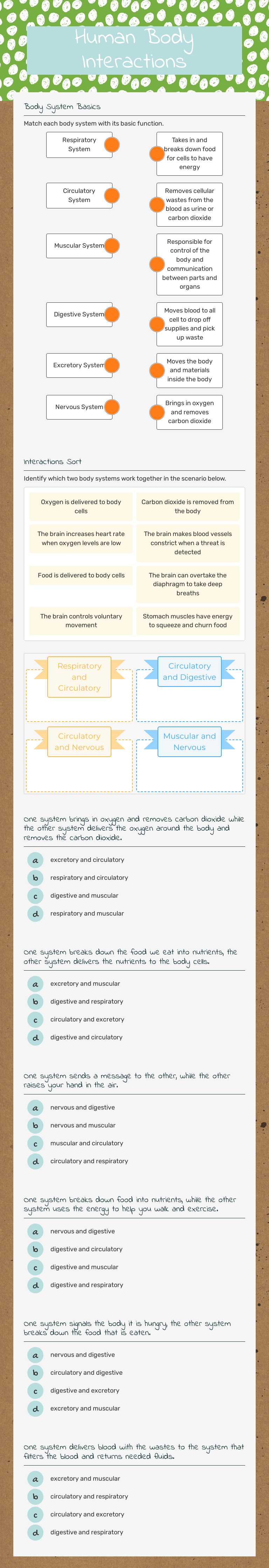 Human Body Interactions worksheet preview image