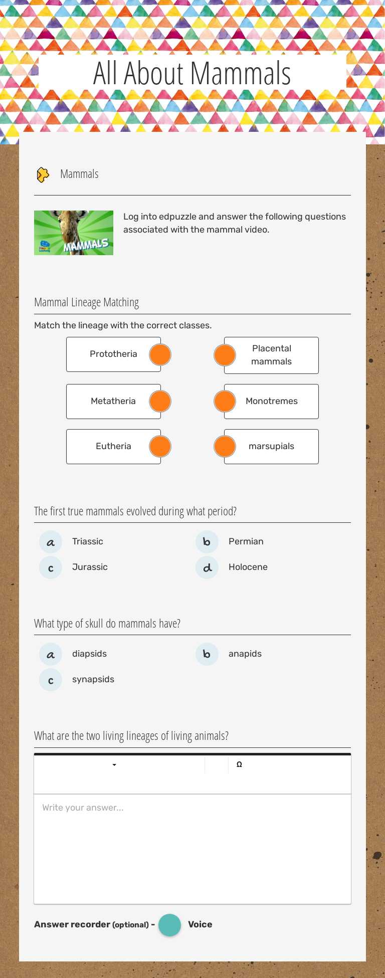 All About Mammals worksheet preview image