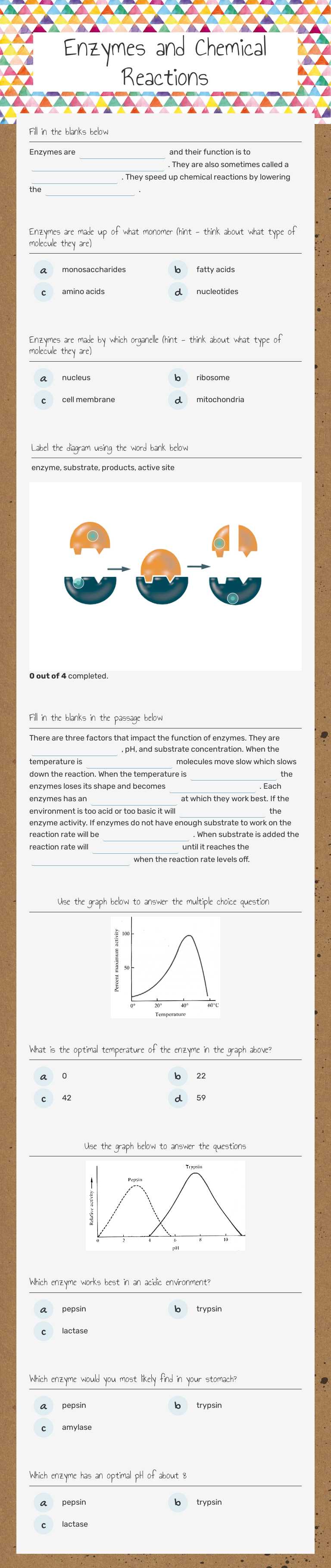 Enzymes and Chemical Reactions worksheet preview image