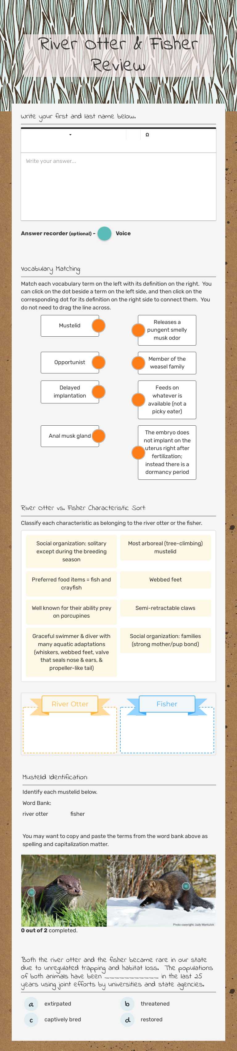 River Otter & Fisher Review Grade 10 worksheet preview