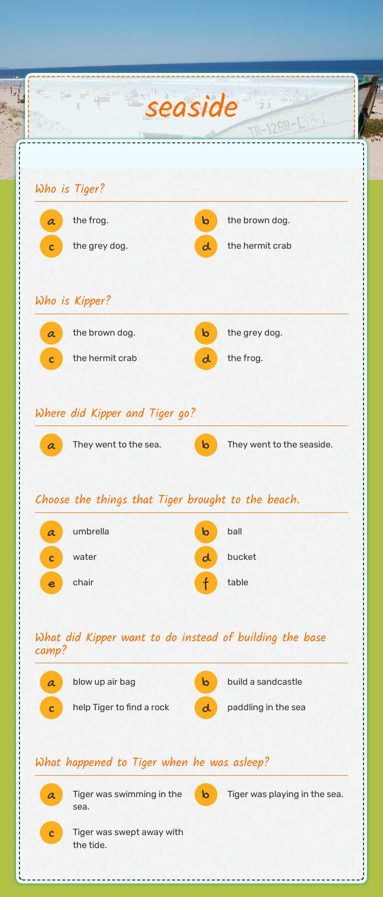 seaside worksheet preview image