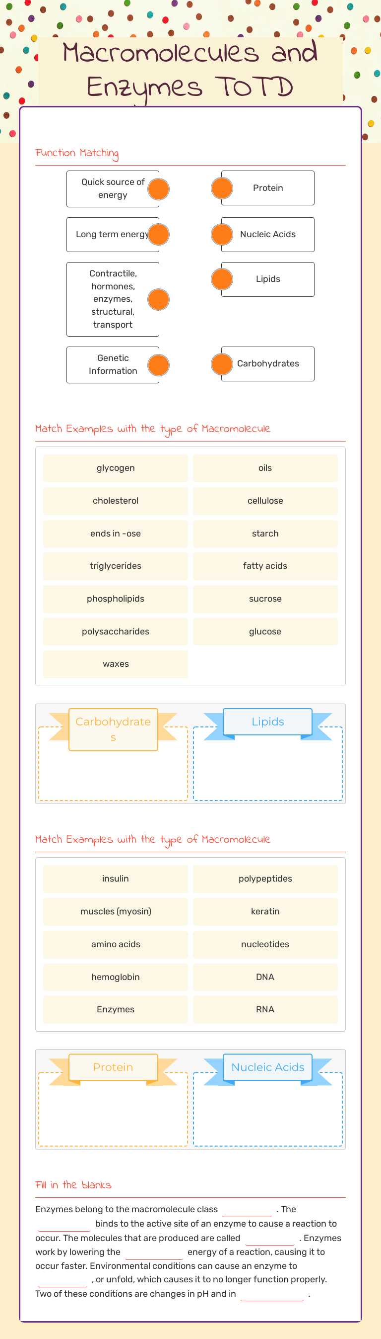 Macromolecules and Enzymes TOTD worksheet preview image
