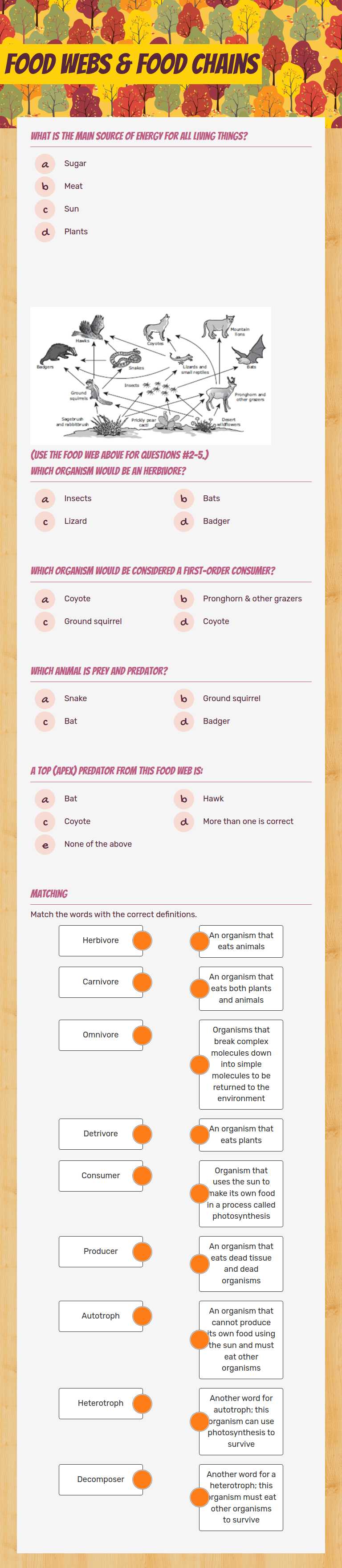 Food Webs 
 & Food Chains worksheet preview image
