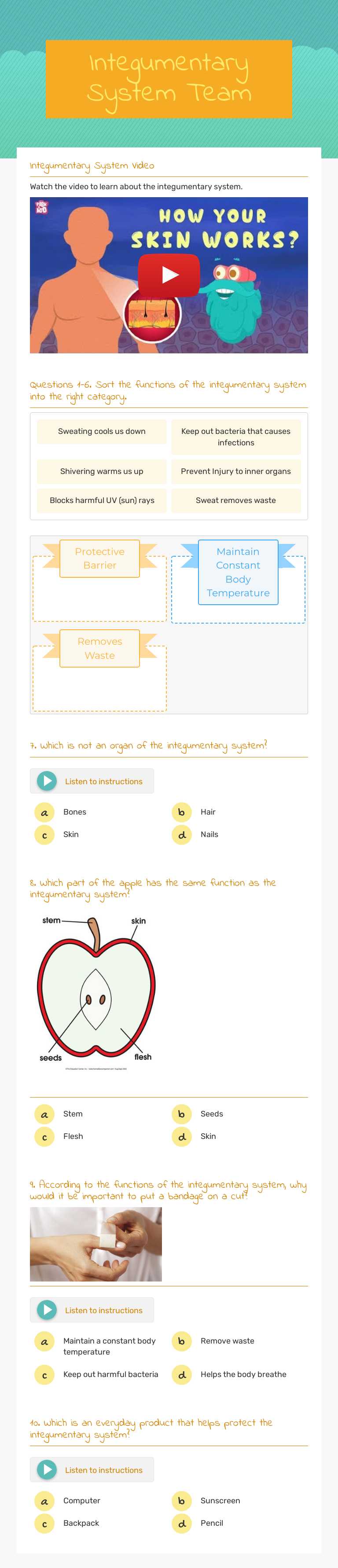 Integumentary System Team worksheet preview image