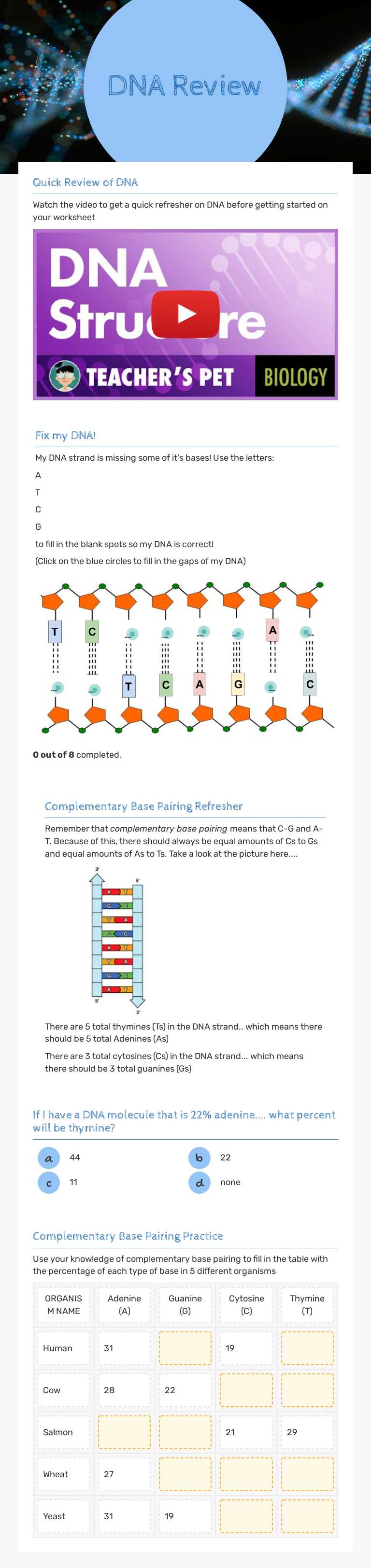 DNA Review worksheet preview image