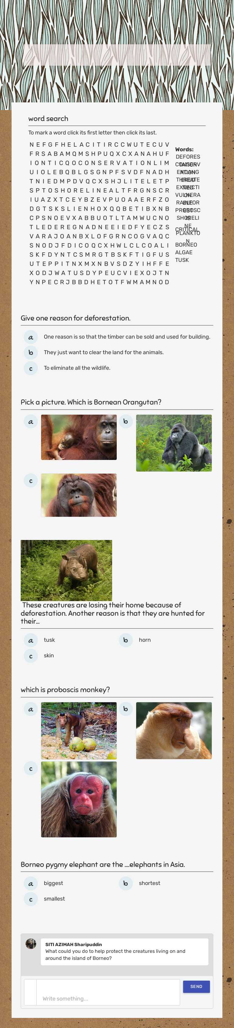 rainforest of borneo worksheet preview image