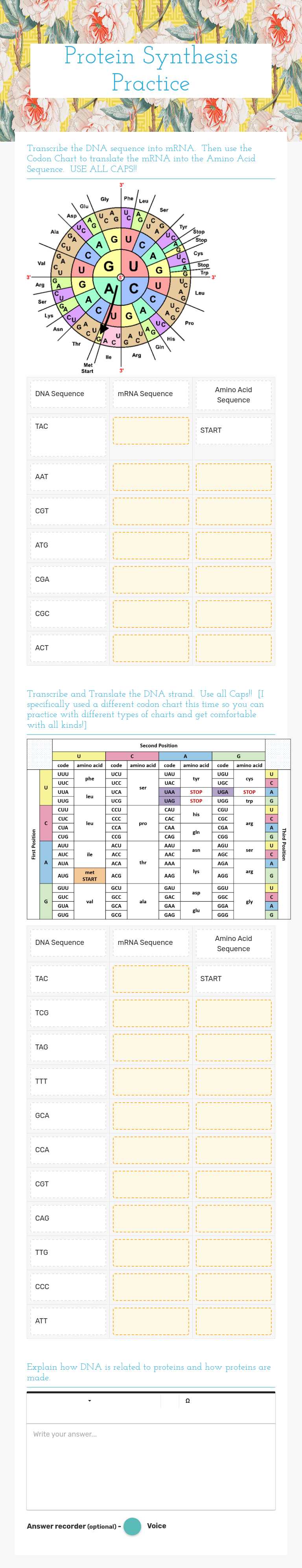 Protein Synthesis Practice Grade 10 worksheet preview
