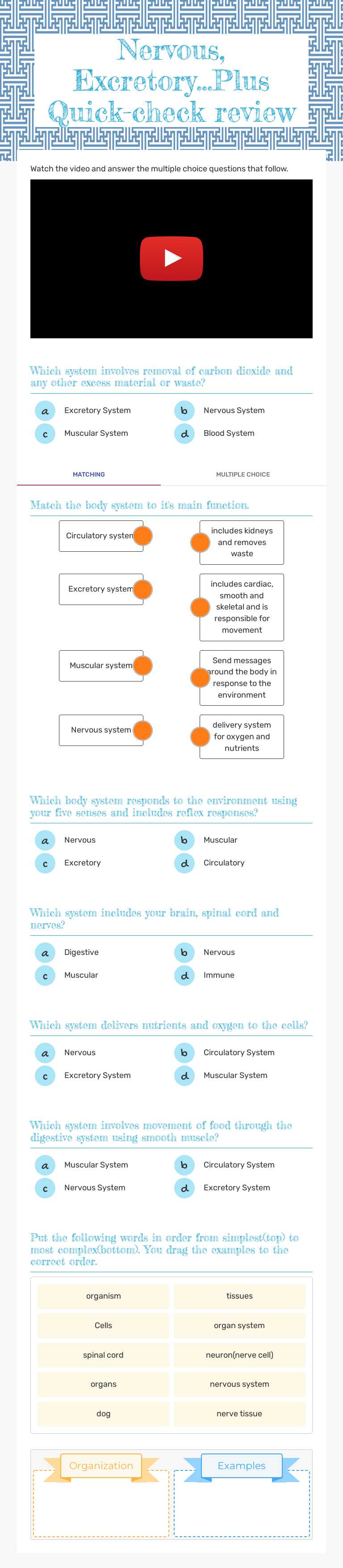 Nervous, Excretory...Plus Quick-check review worksheet preview image