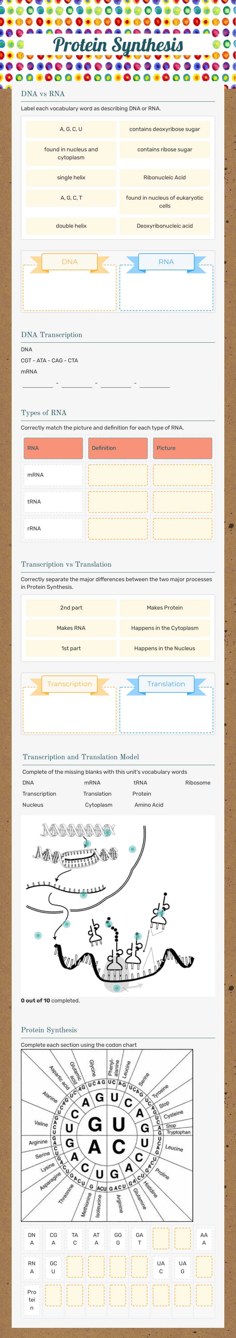 Protein Synthesis worksheet preview image