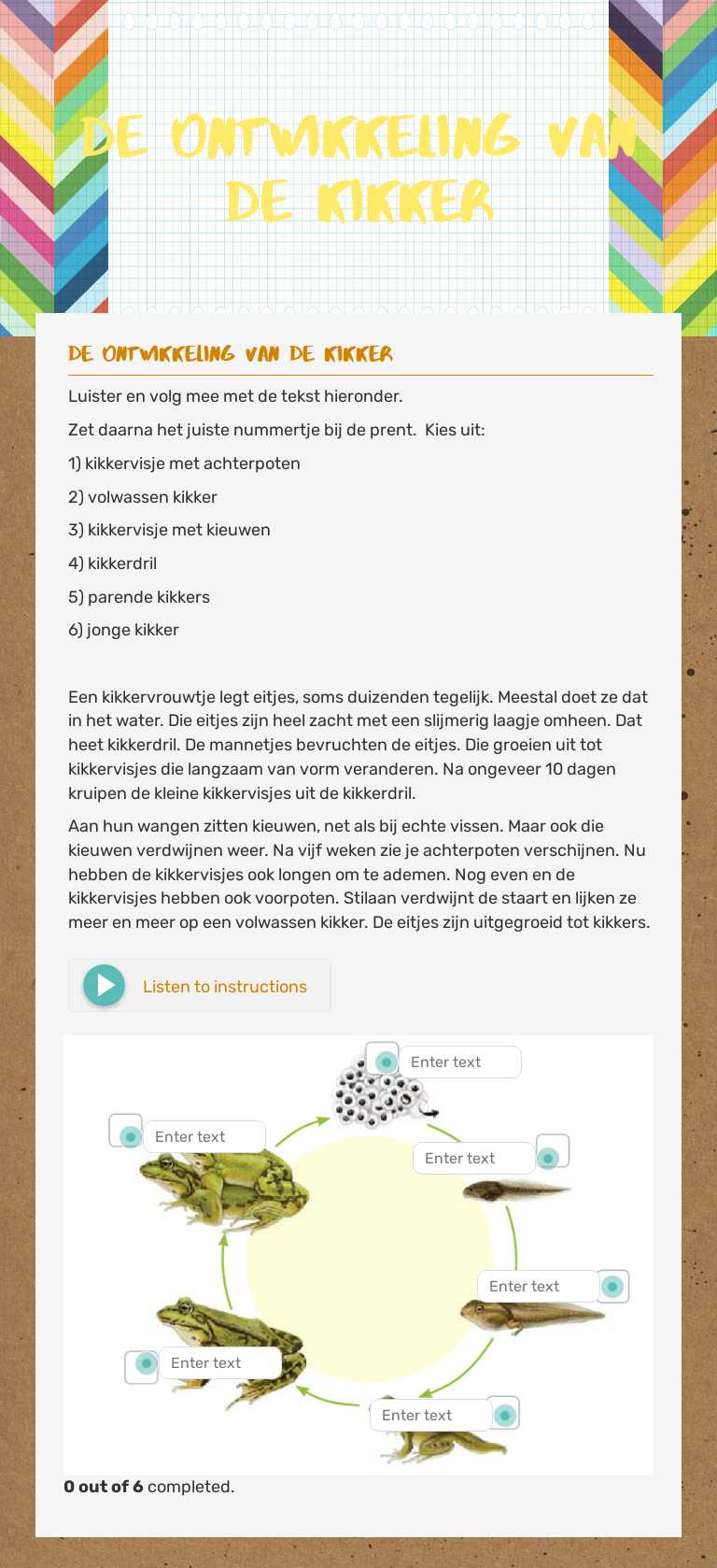 De ontwikkeling van de kikker worksheet preview image