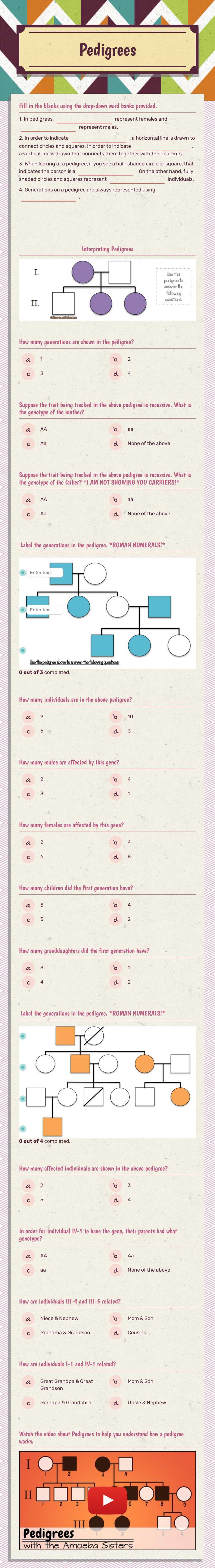 Pedigrees worksheet preview image