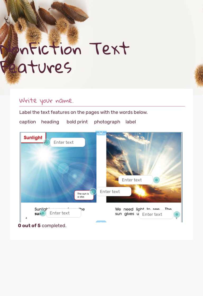 NonFiction Text Features worksheet preview image