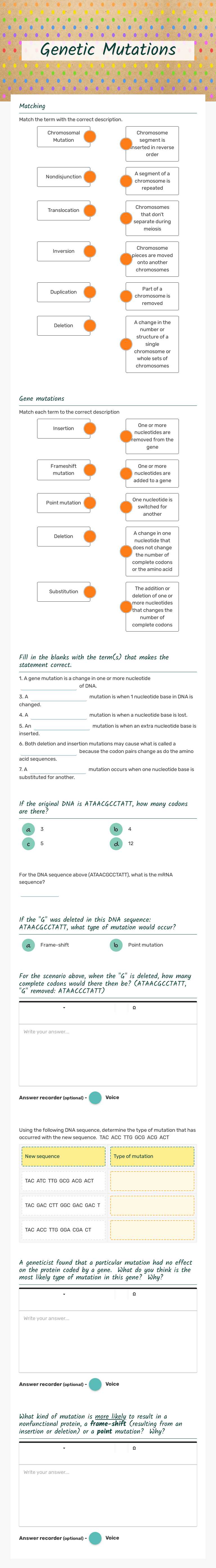 Genetic Mutations worksheet preview image
