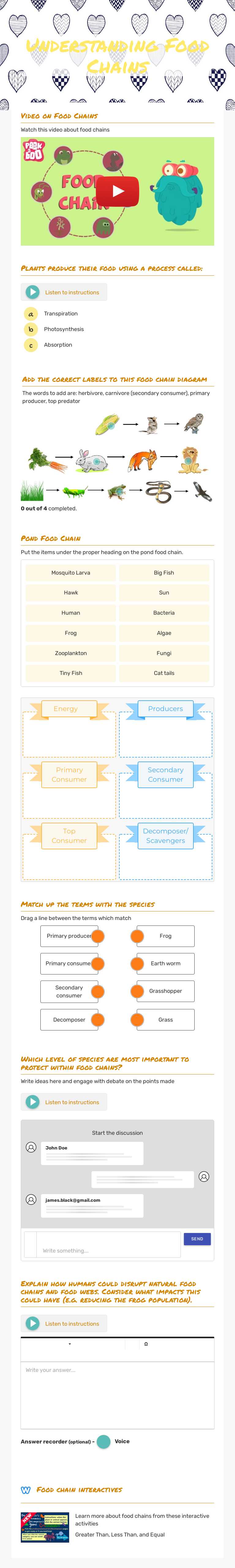 Understanding Food Chains worksheet preview image