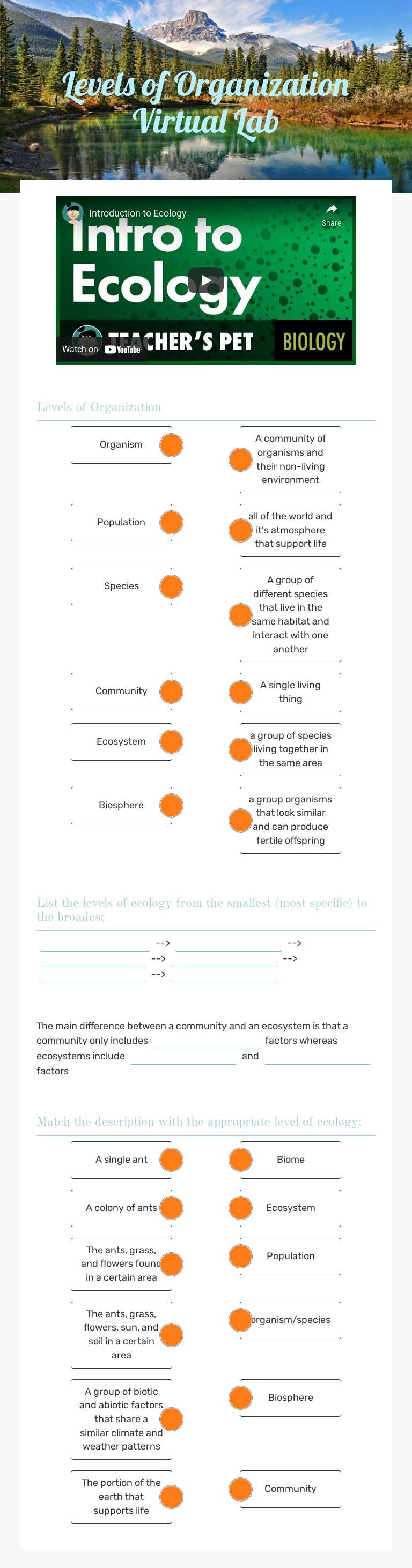 Levels of Organization Virtual Lab worksheet preview image