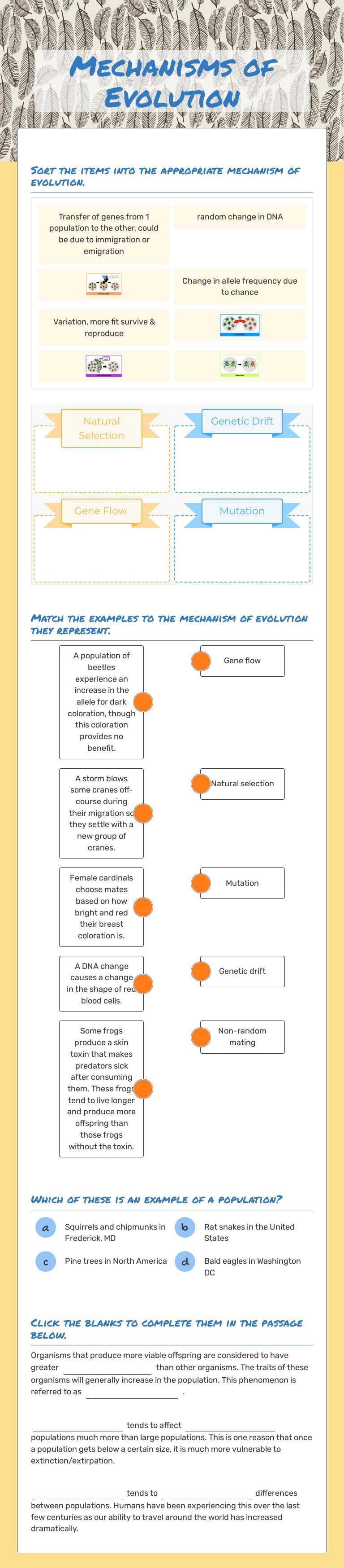 Mechanisms of Evolution Grade 9 worksheet preview