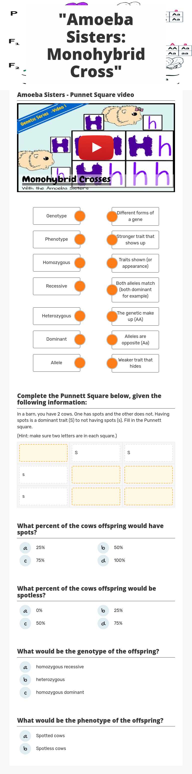 "Amoeba Sisters: Monohybrid Cross" worksheet preview image