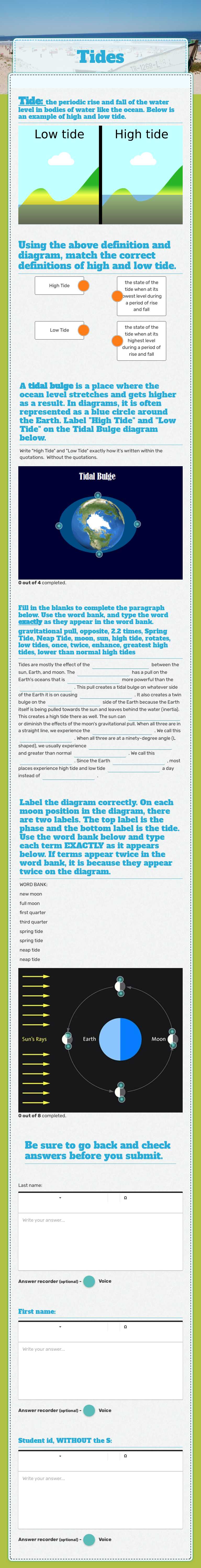 Tides worksheet preview image