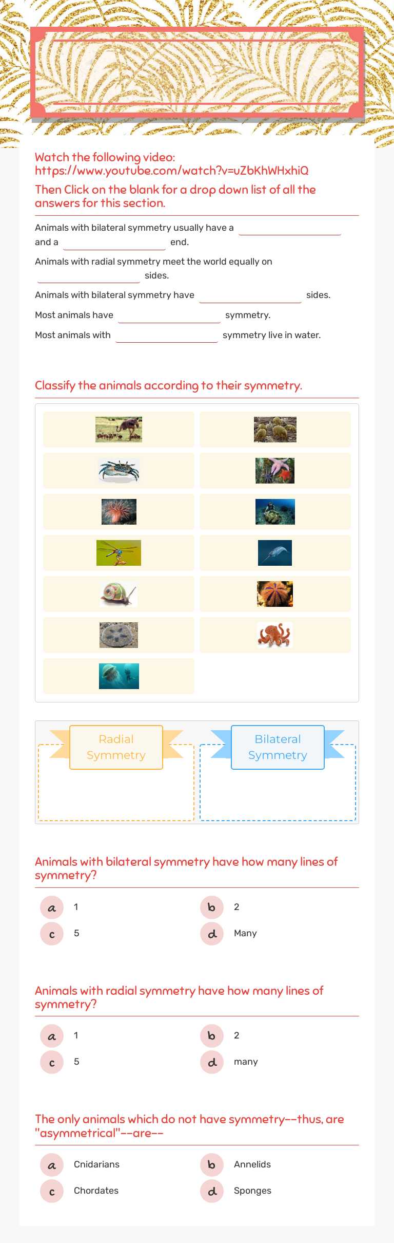 Animal            
         Symmetry worksheet preview image