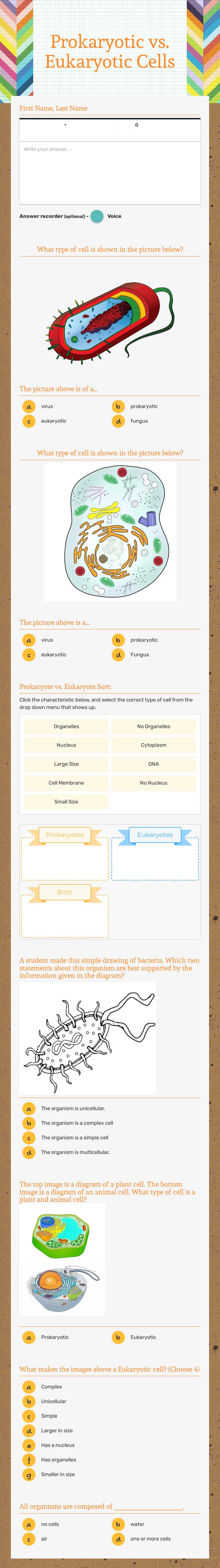 Prokaryotic vs. Eukaryotic Cells worksheet preview image