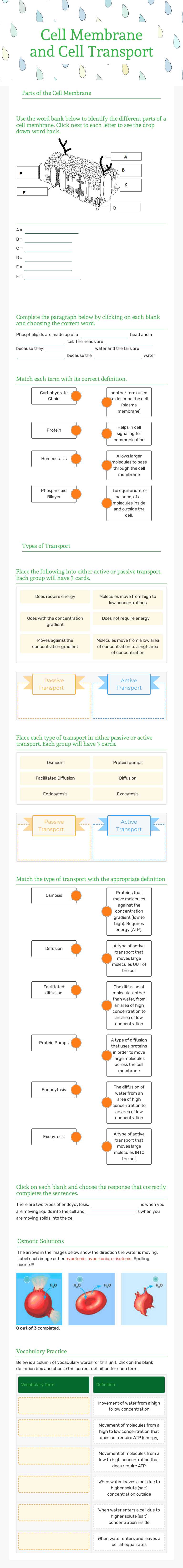Cell Membrane and Cell Transport worksheet preview image