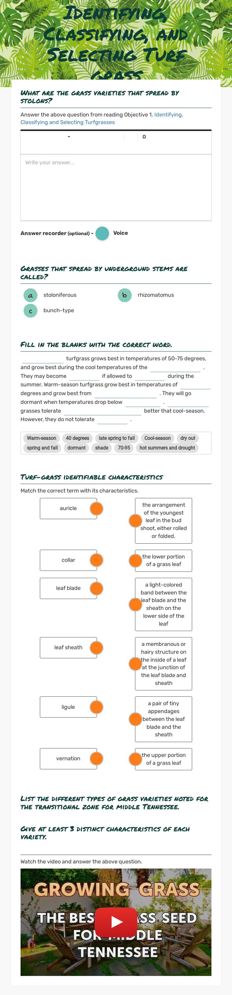 Identifying, Classifying, and Selecting Turf grass worksheet preview image