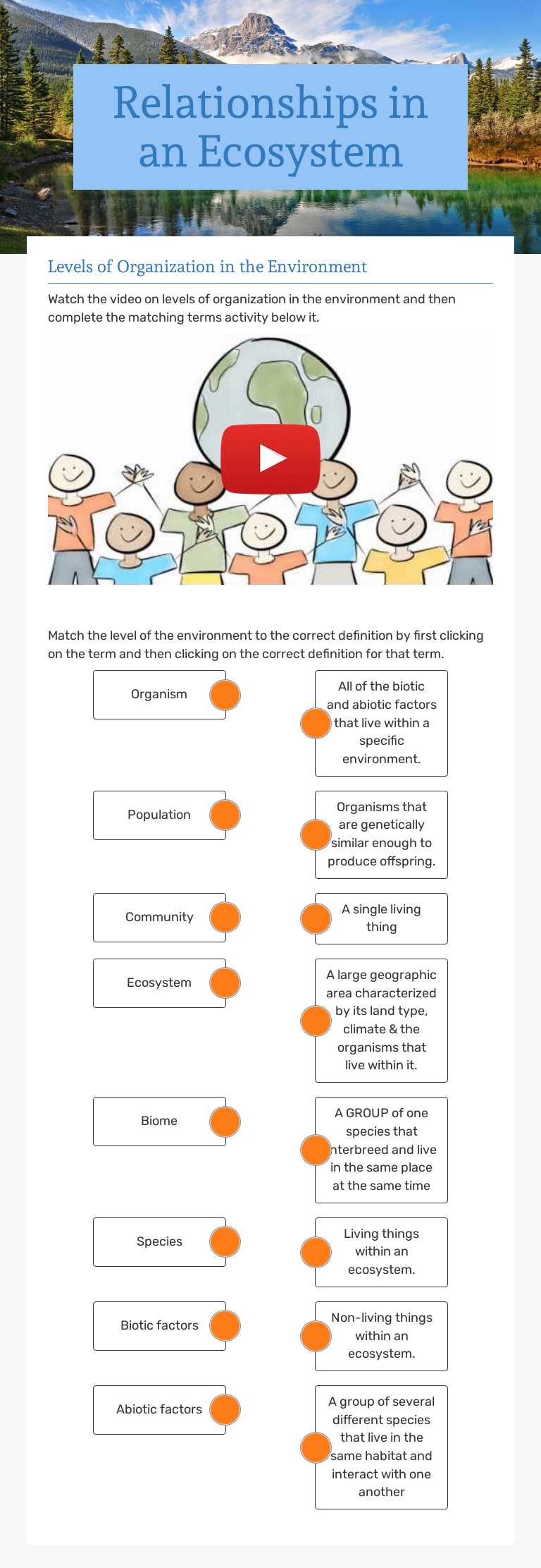 Relationships in an Ecosystem worksheet preview image