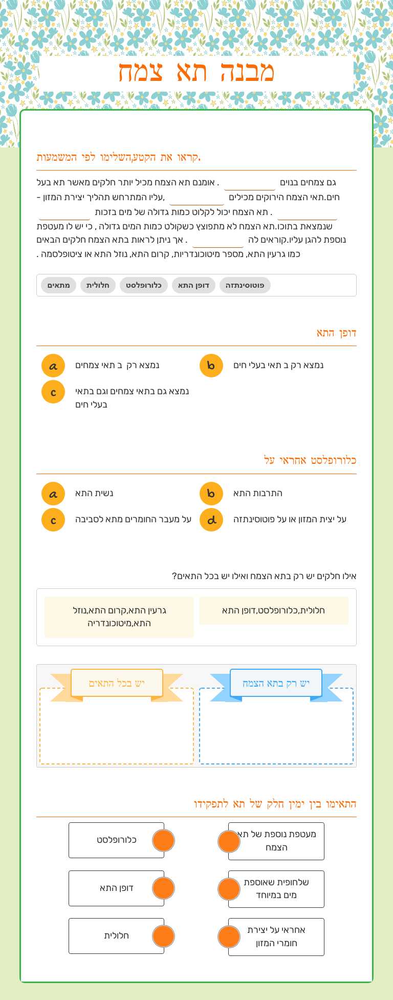מבנה תא צמח worksheet preview image