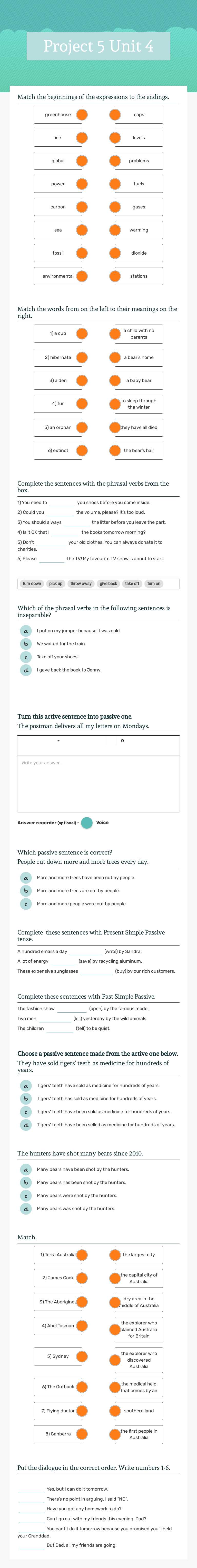 Project 5 Unit 4 worksheet preview image
