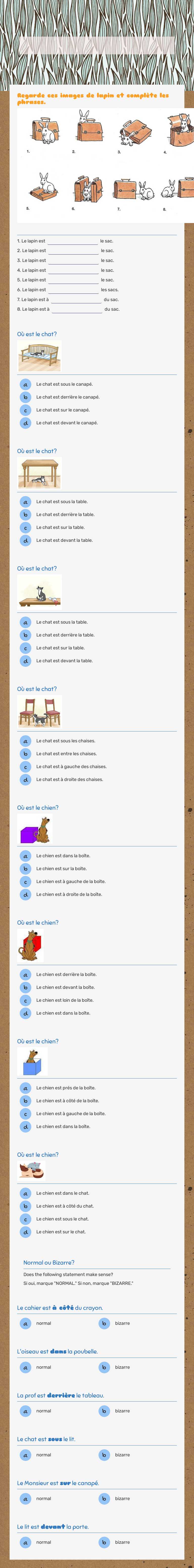 Les Prépositions de lieu worksheet preview image