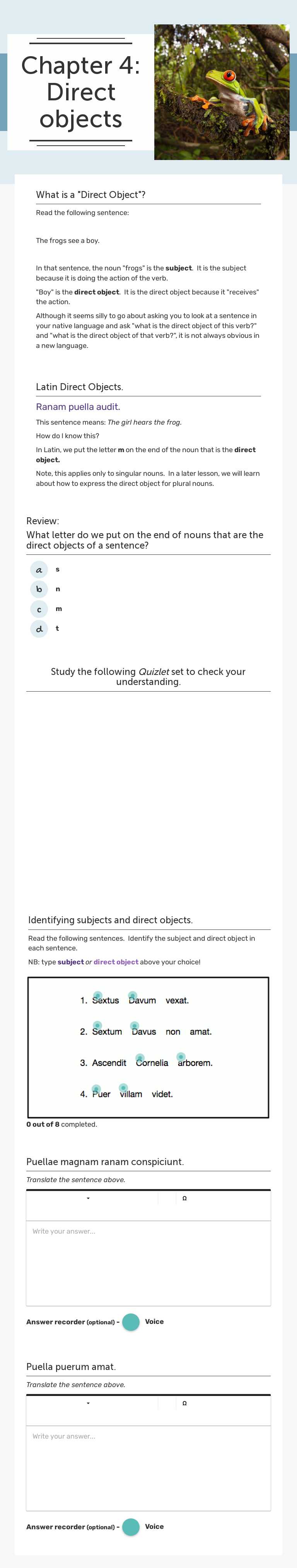 Chapter 4: Direct objects worksheet preview image