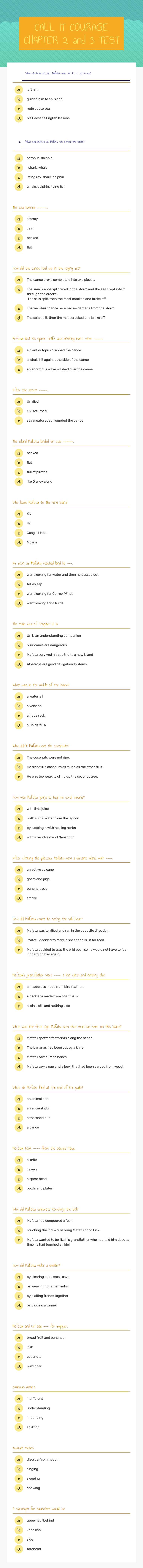 CALL IT COURAGE CHAPTER 2 and 3 TEST worksheet preview