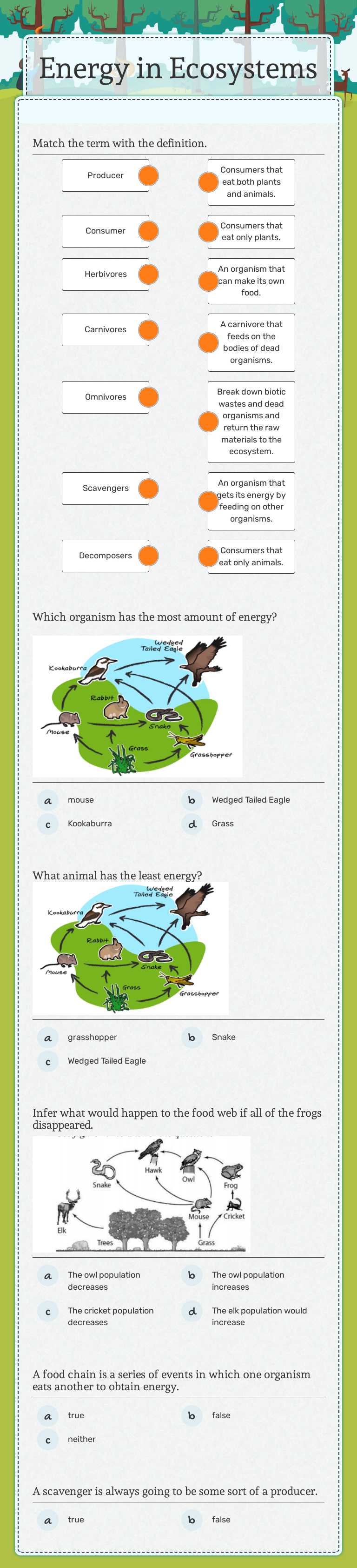 Energy in Ecosystems Grade 6 worksheet preview