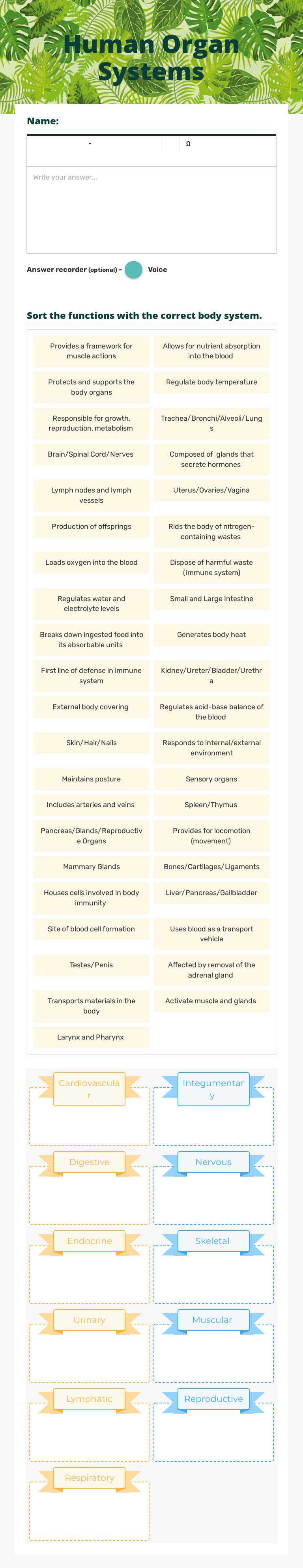 Human Organ Systems worksheet preview image