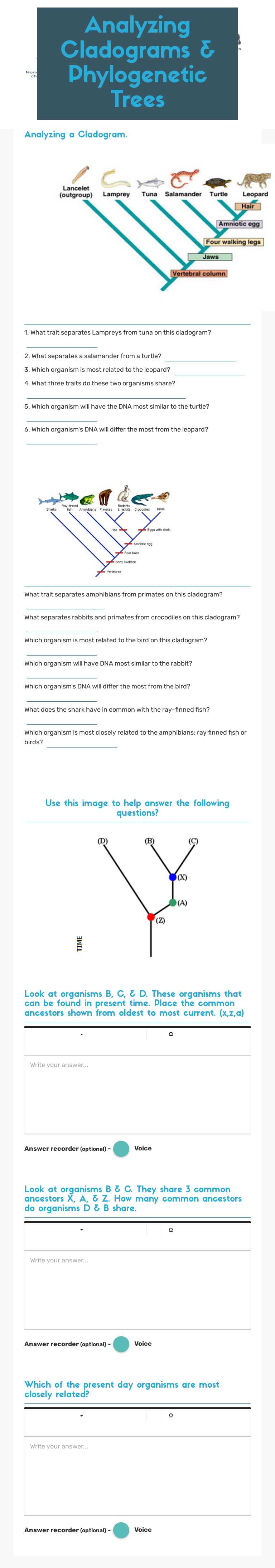 Analyzing Cladograms & Phylogenetic Trees worksheet preview image