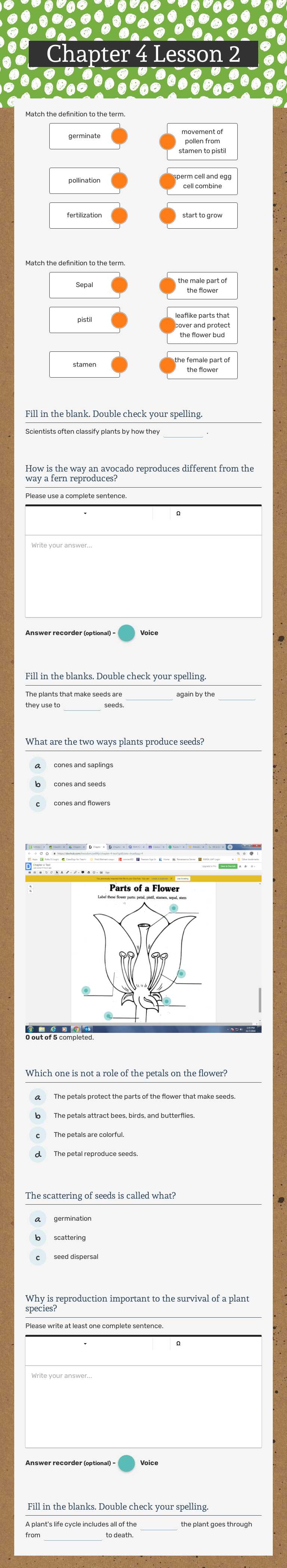 Chapter 4 Lesson 2 worksheet preview