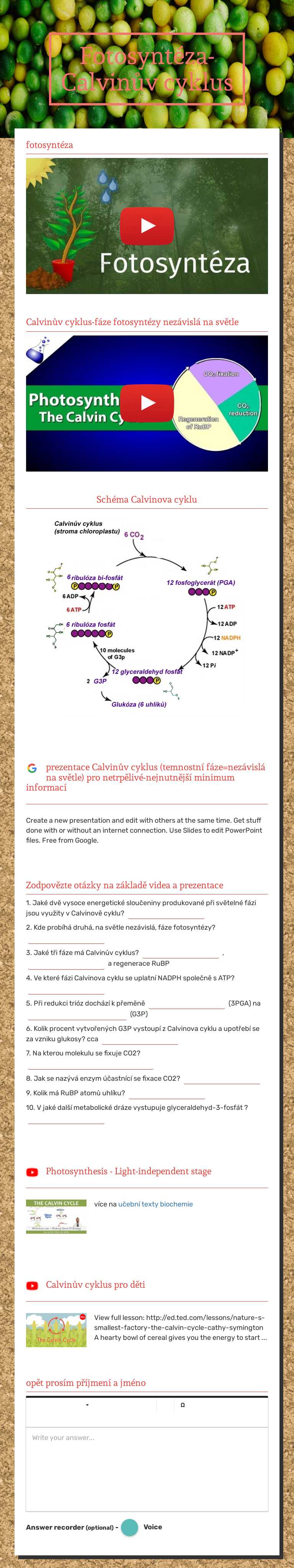 Fotosyntéza-Calvinův cyklus worksheet preview image