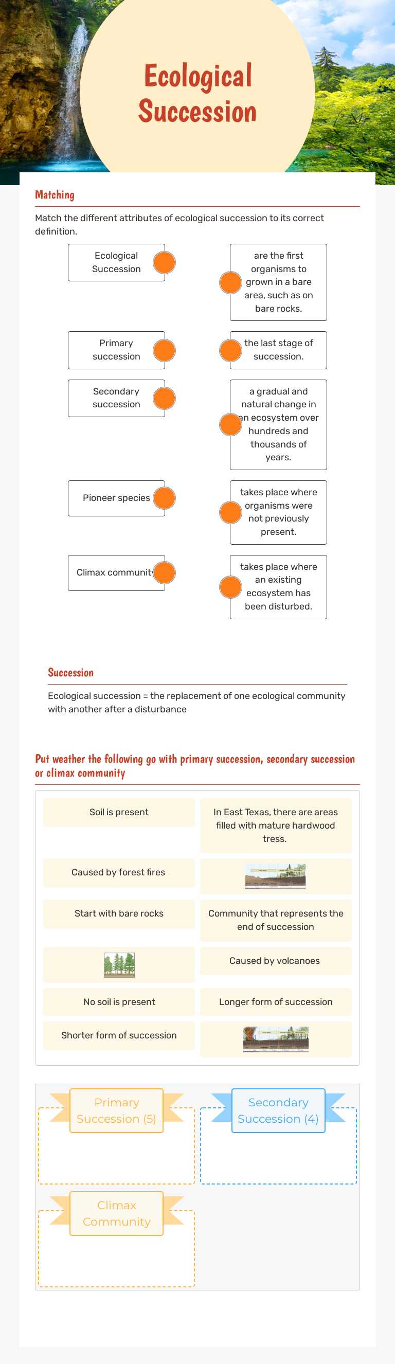 Ecological Succession worksheet preview image